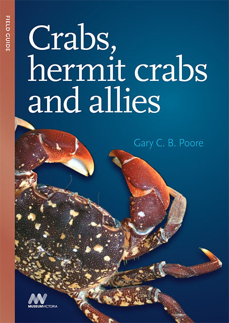 Crabs, Hermit Crabs and Allies