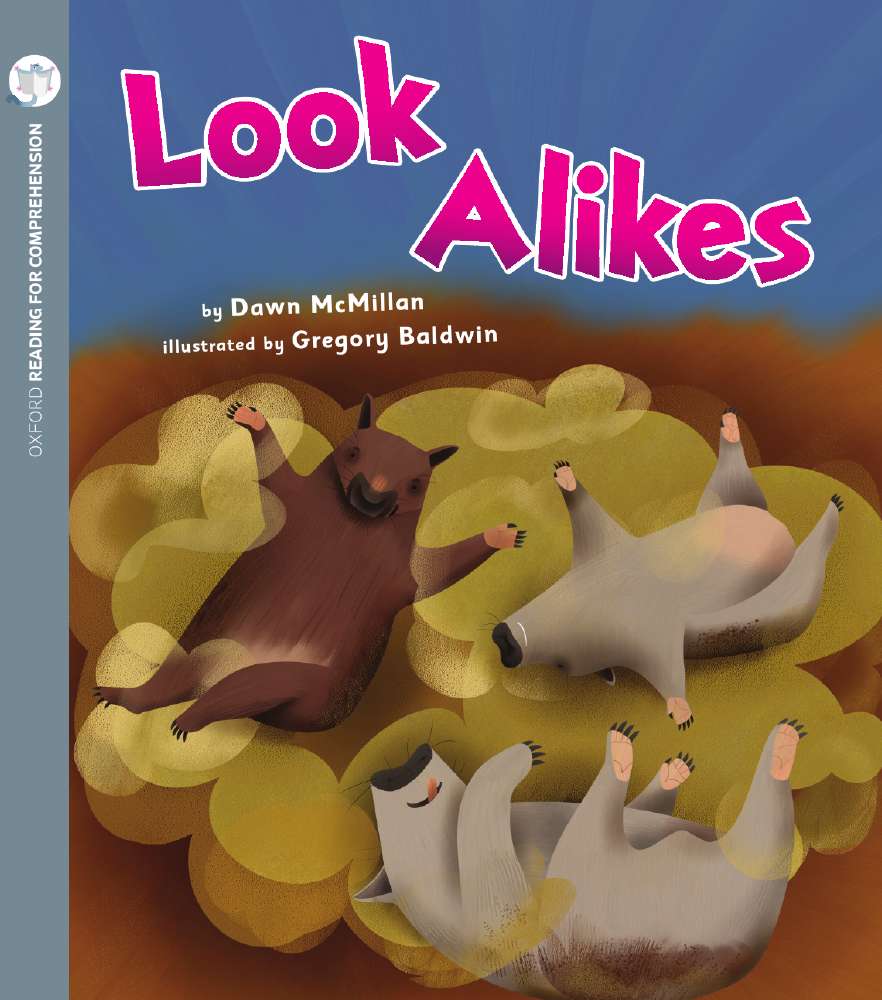 Look Alikes: Oxford Level 7: Pack of 6
