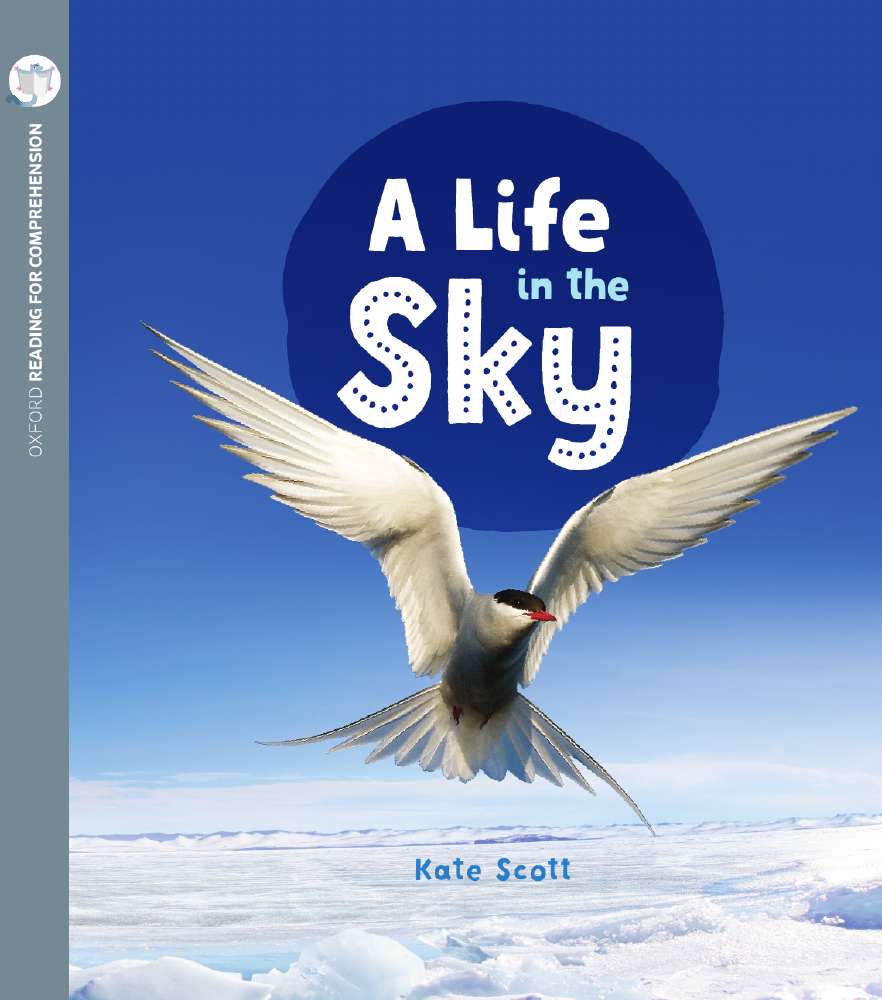 A Life in the Sky: Oxford Level 10: Pack of 6