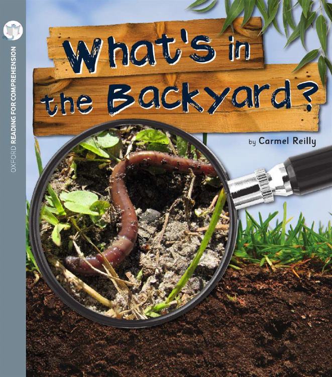 What's in the Backyard?: Oxford Level 8: Pack of 6