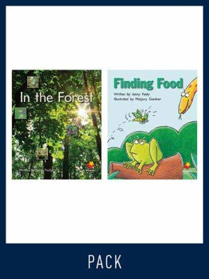 Flying Start Guided Reading Pack Level 3, Pack 4