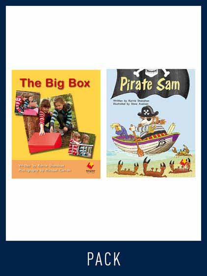Flying Start Guided Reading Pack Level 4, Pack 3