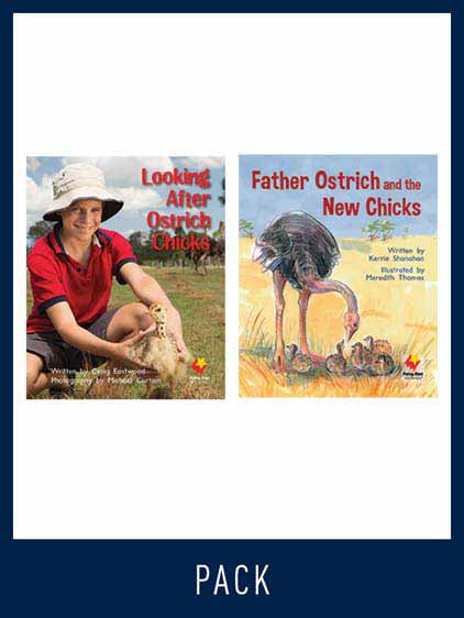 Flying Start Guided Reading Pack Level 10, Pack 1