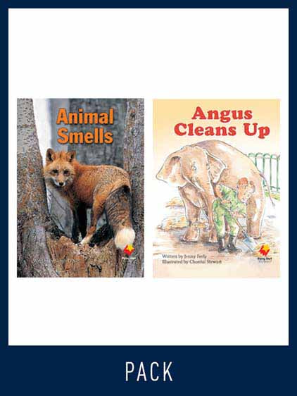 Flying Start Guided Reading Level 15, Pack 3