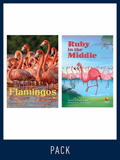 Flying Start Guided Reading Level 16, Pack 2