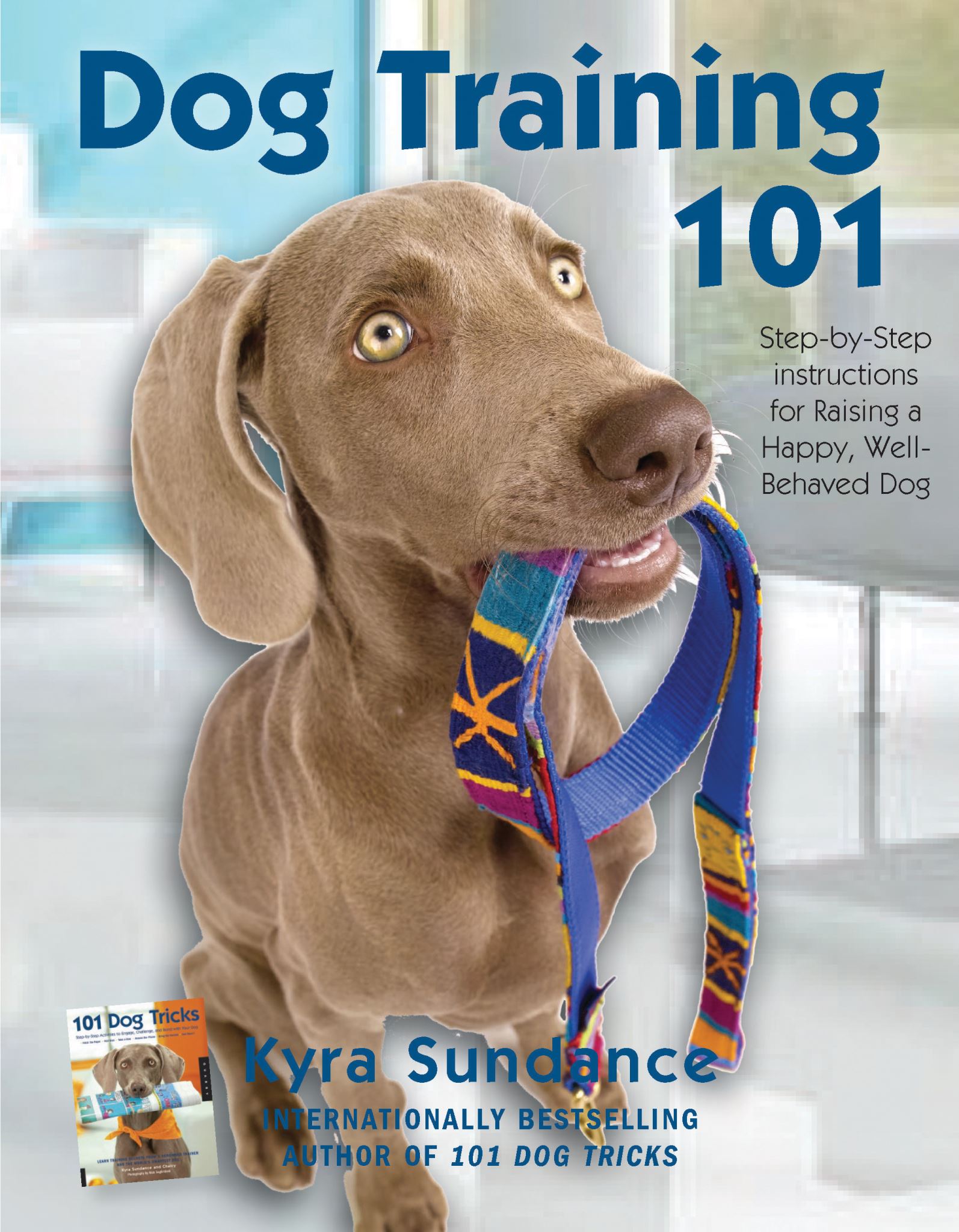 Dog Training 101