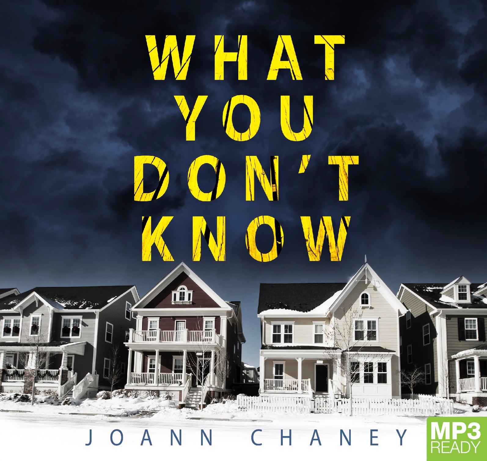 What You Don't Know  - Unbridged Audio Book on MP3