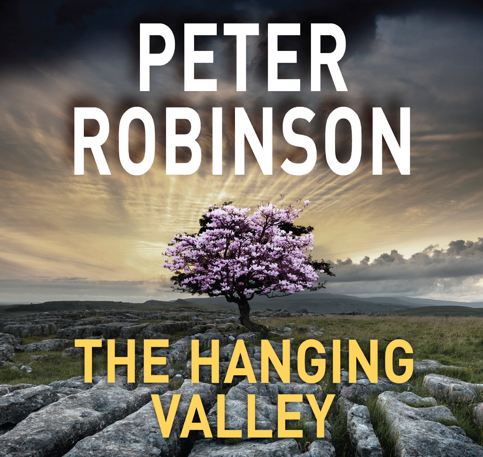 The Hanging Valley - Unbridged Audio Book on CD