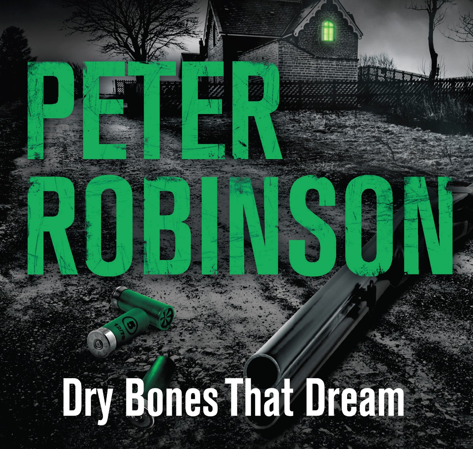 Dry Bones That Dream - Unbridged Audio Book on CD