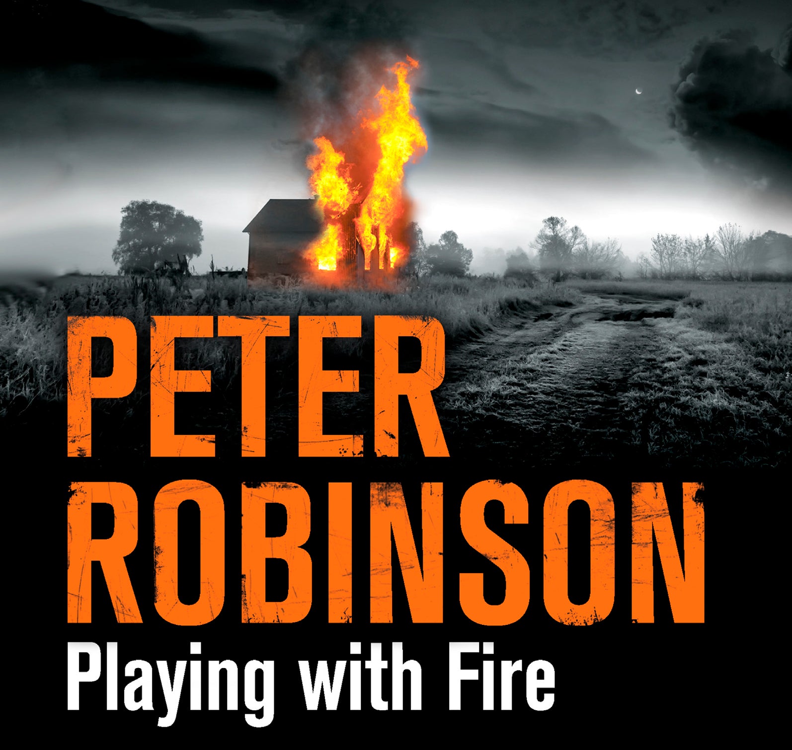 Playing With Fire - Unbridged Audio Book on CD