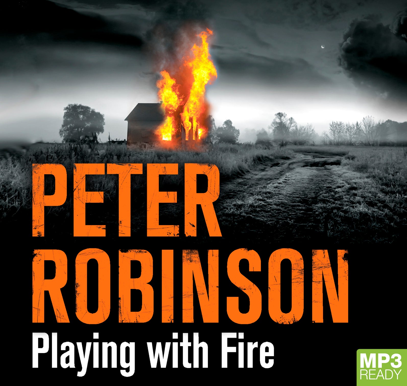 Playing With Fire  - Unbridged Audio Book on MP3