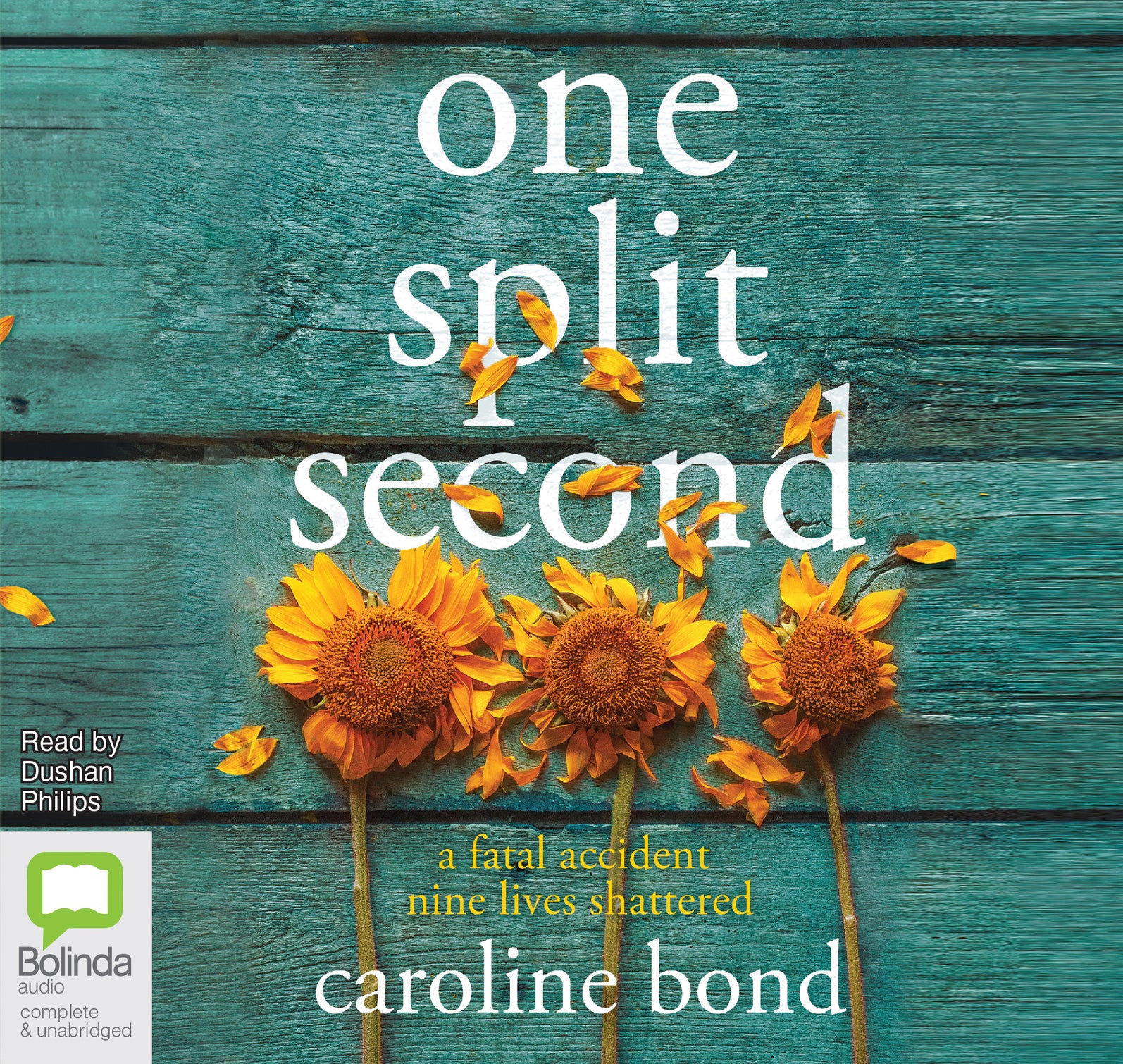 One Split Second - Unbridged Audio Book on CD