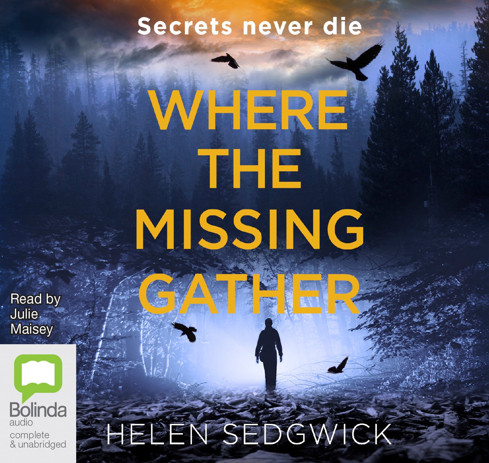 Where The Missing Gather - Unbridged Audio Book on CD