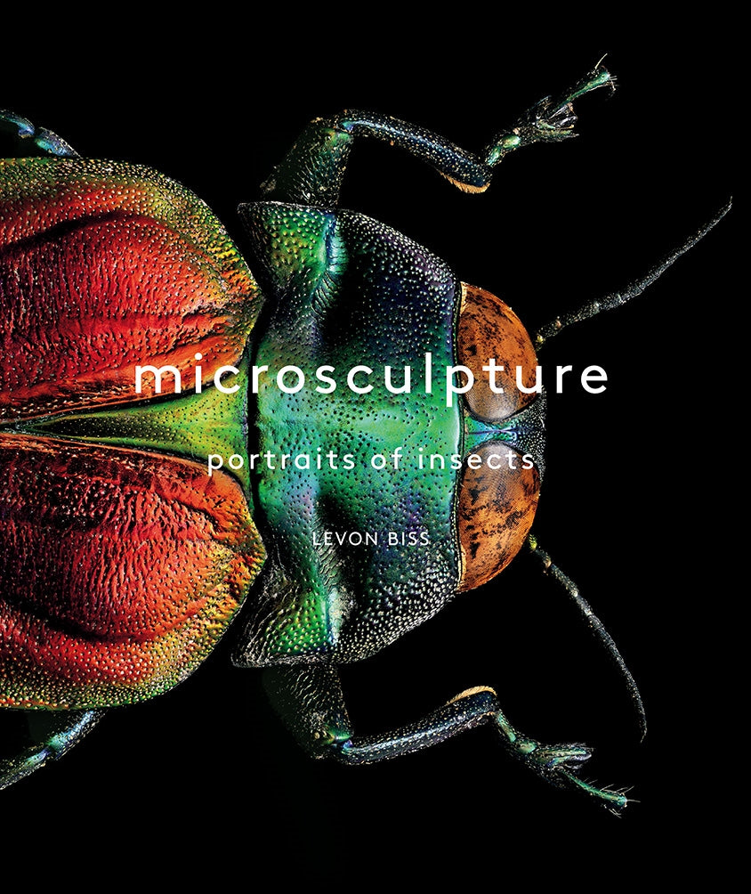 Microsculpture