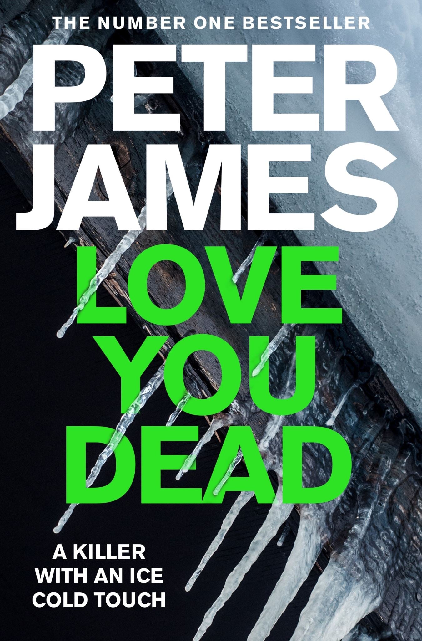 Love You Dead: A Roy Grace Novel 12