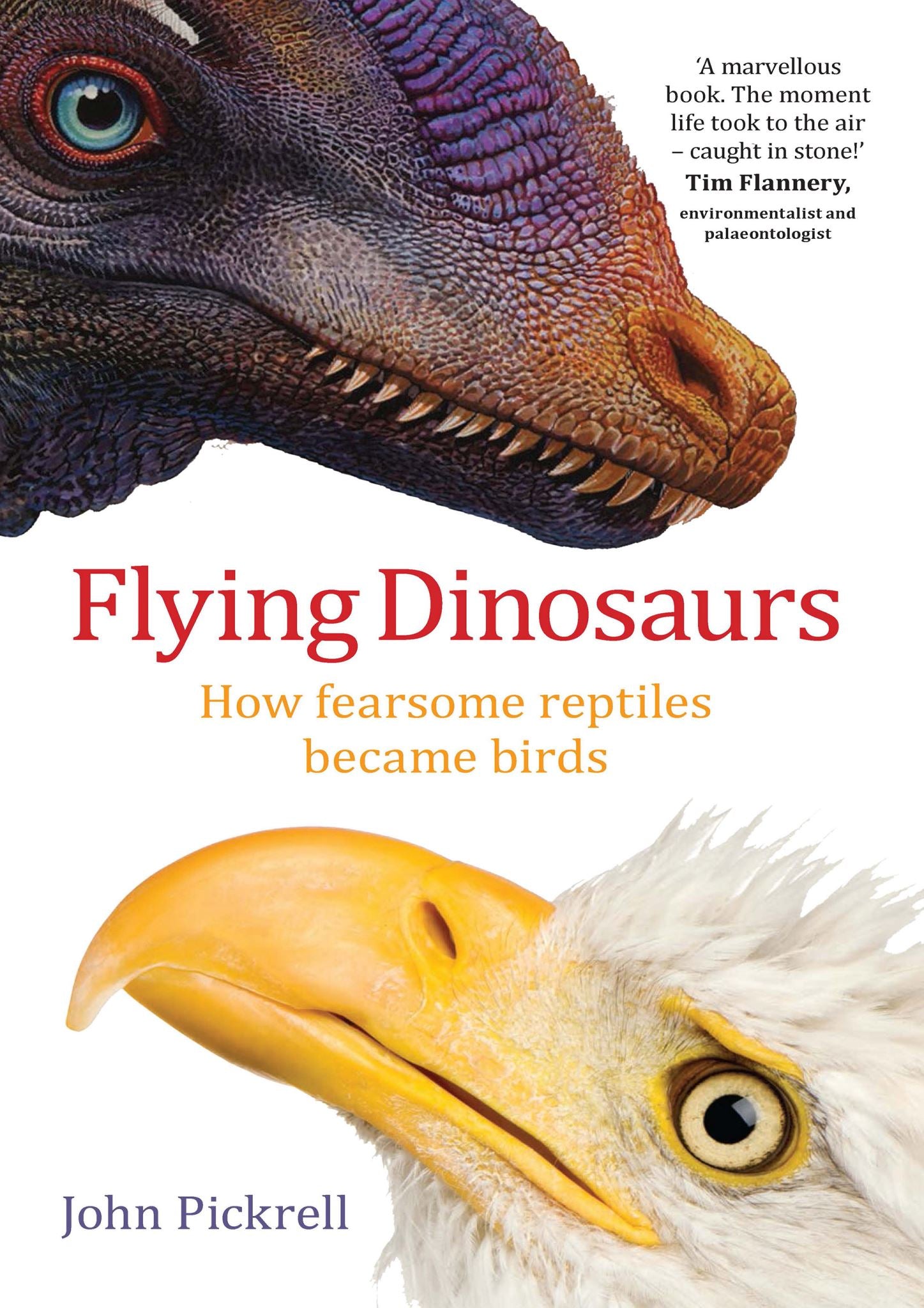 Flying Dinosaurs