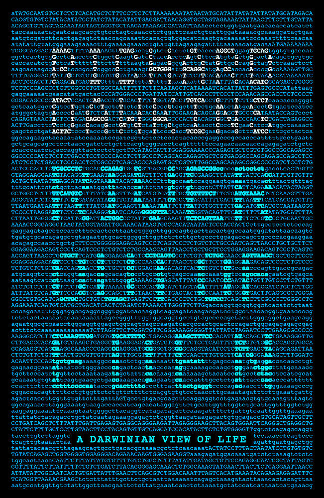 River Out of Eden