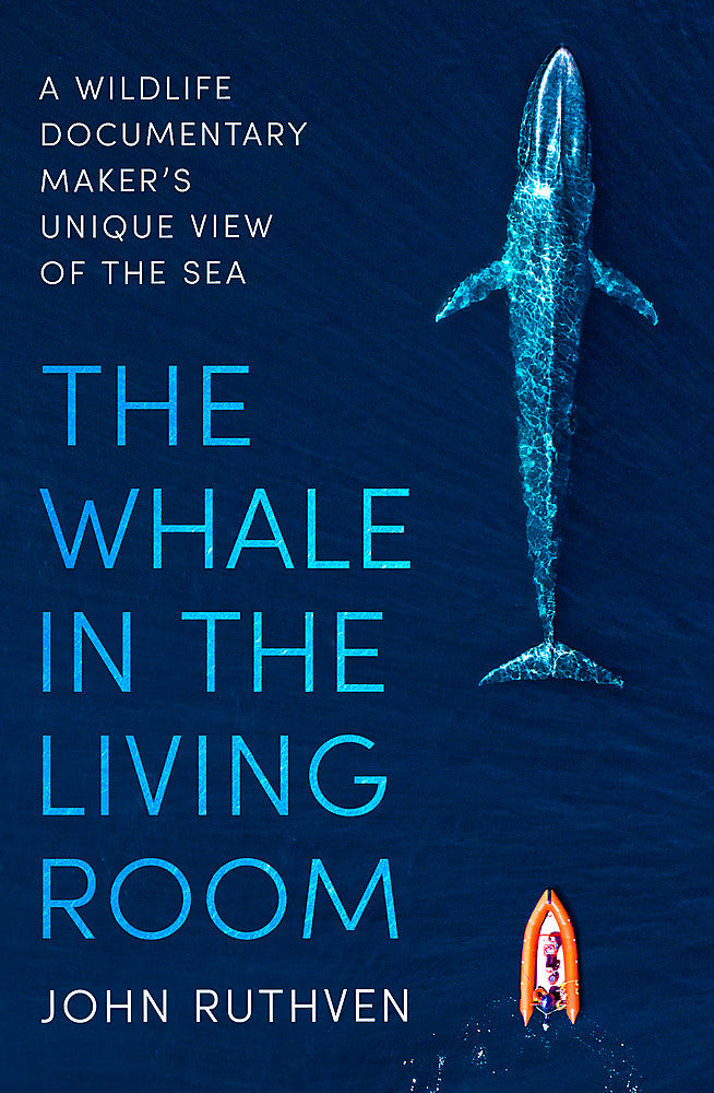 The Whale in the Living Room