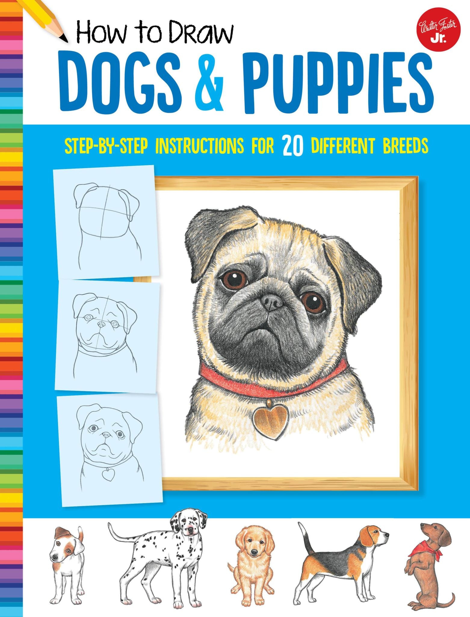 Dogs & Puppies (How to Draw)