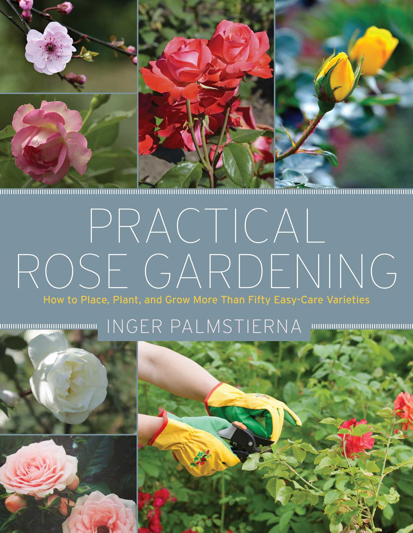 Practical Rose Gardening