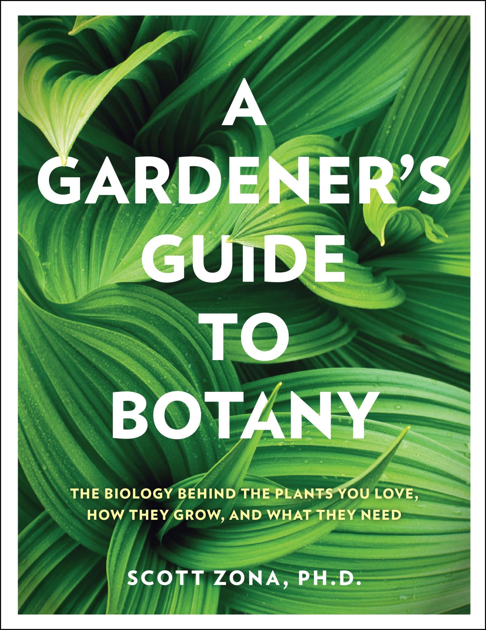 A Gardener's Guide to Botany