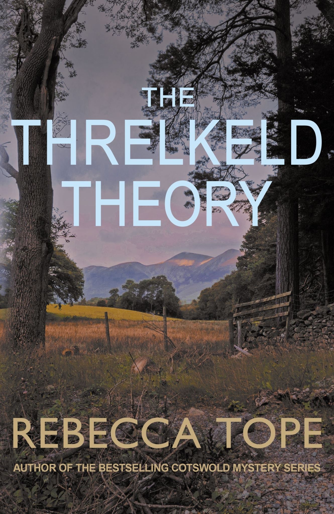 The Threlkeld Theory (Lake District Mysteries 11)