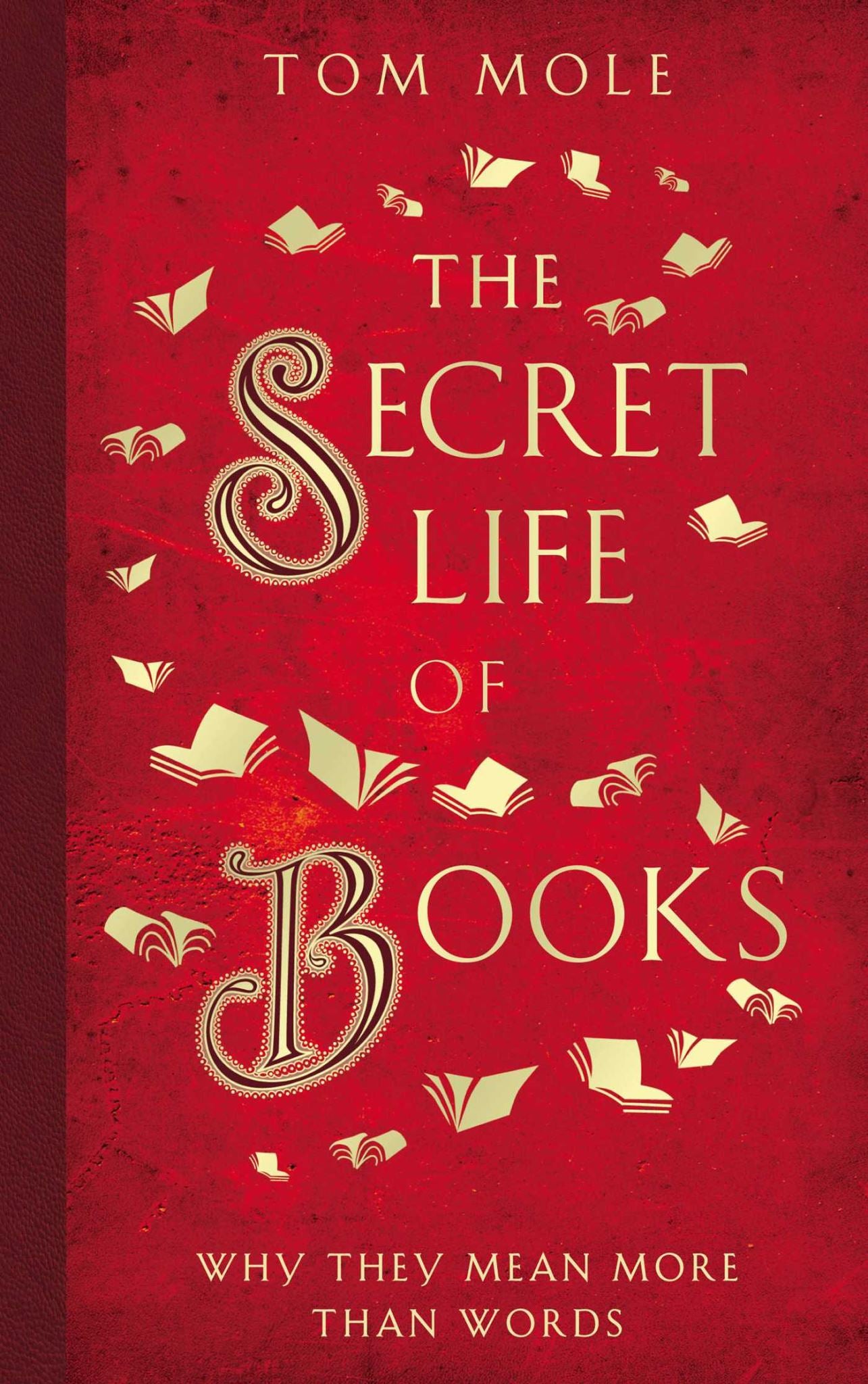 Secret Life of Books: Why They Mean More Than Words