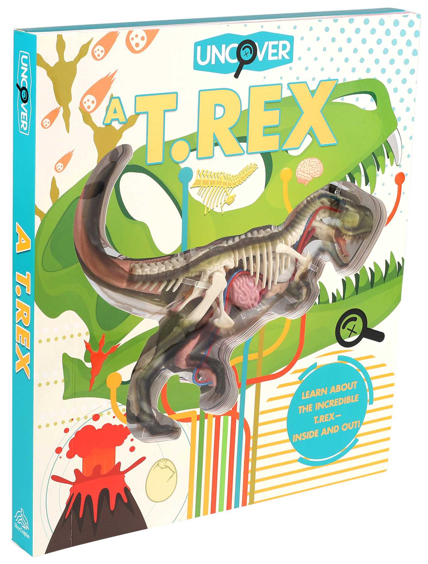 Uncover a T.Rex