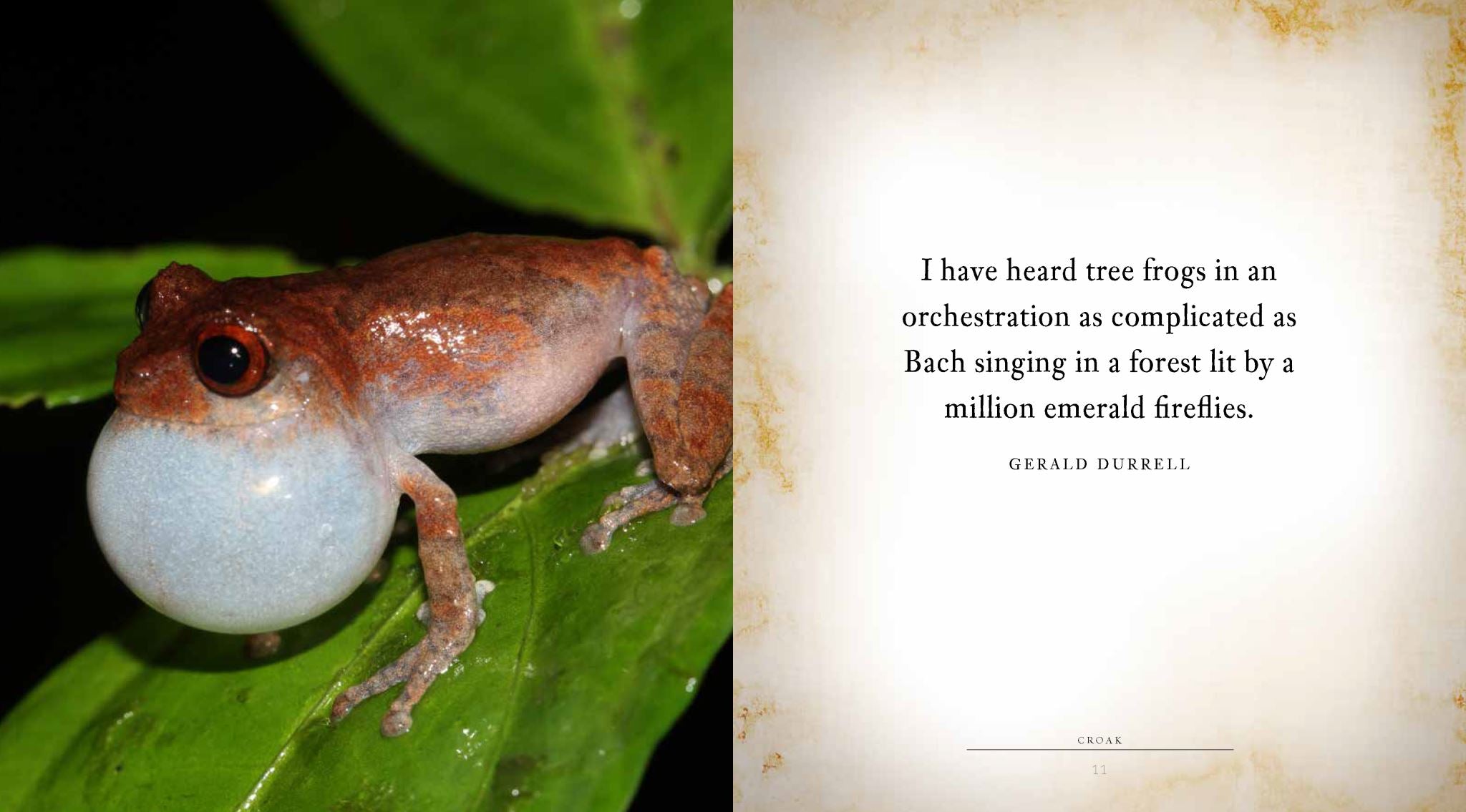 Croak