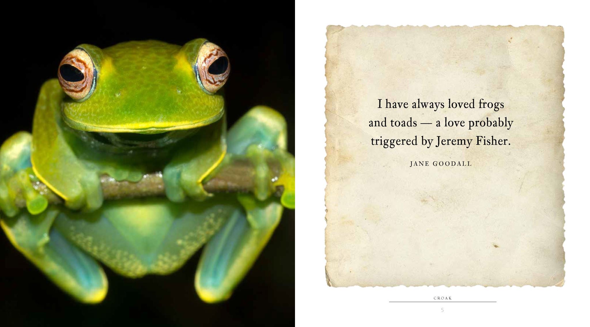 Croak