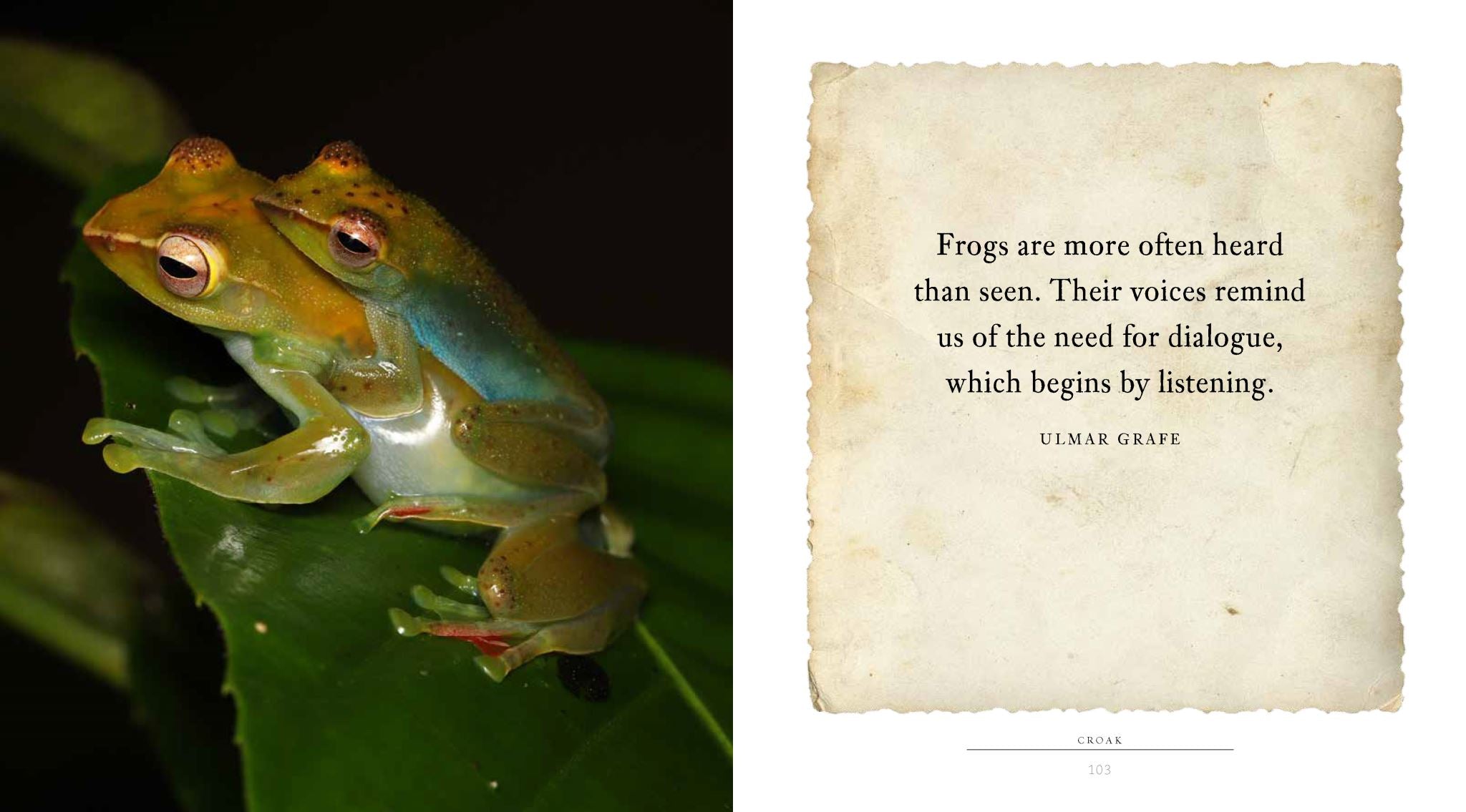 Croak