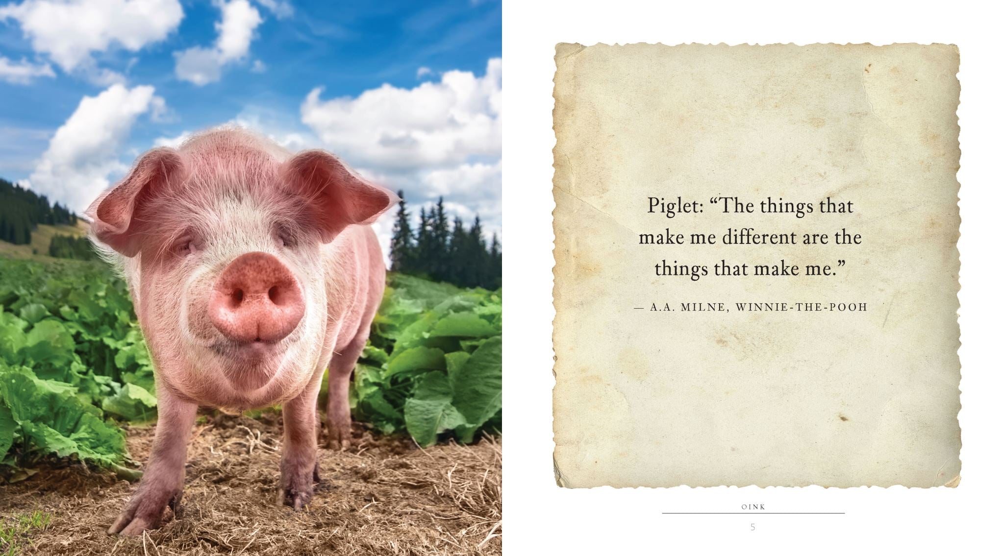 Oink