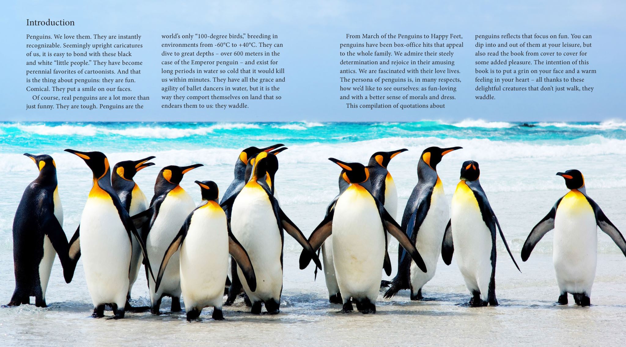Waddle
