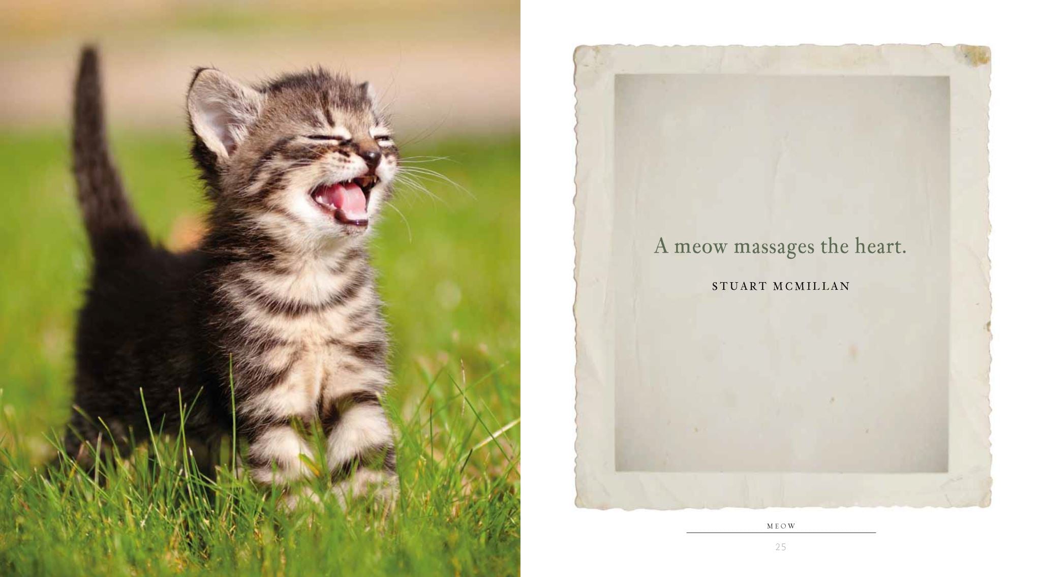 Meow