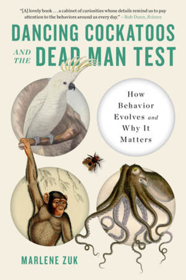 Dancing Cockatoos and the Dead Man Test