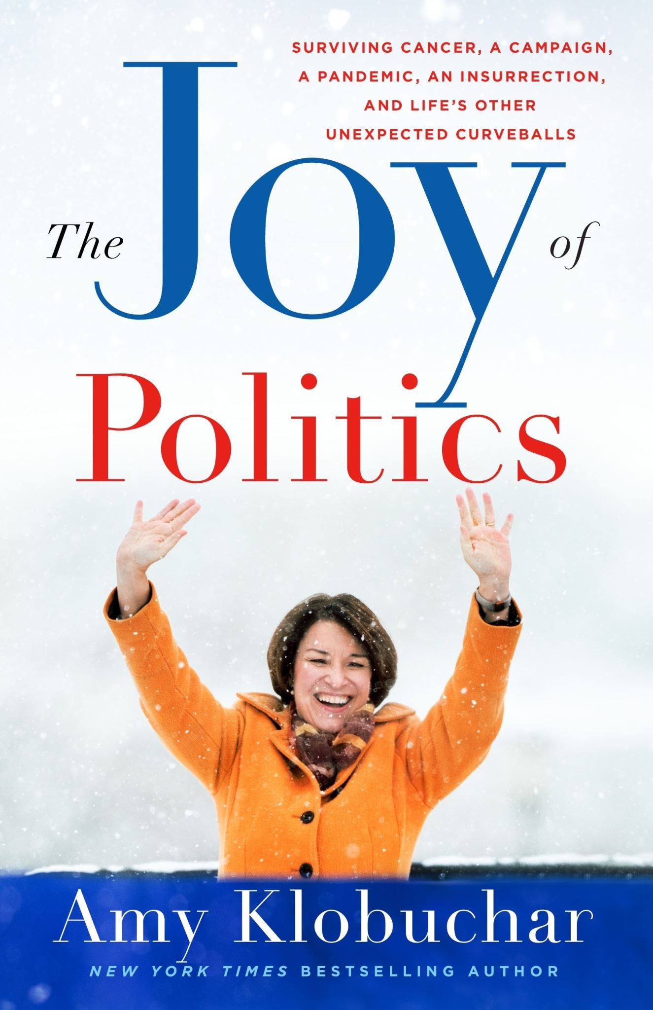 The Joy of Politics