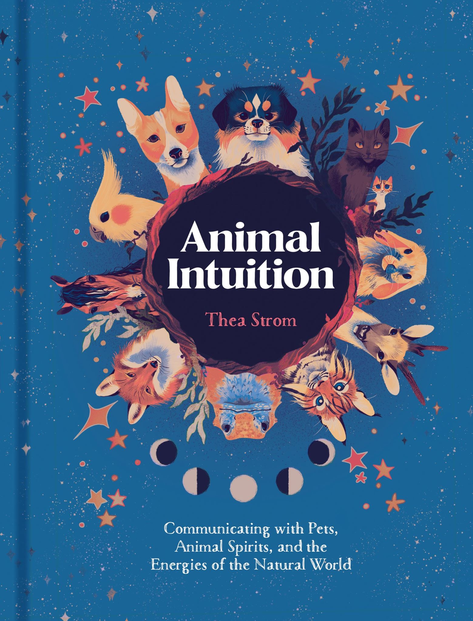 Animal Intuition