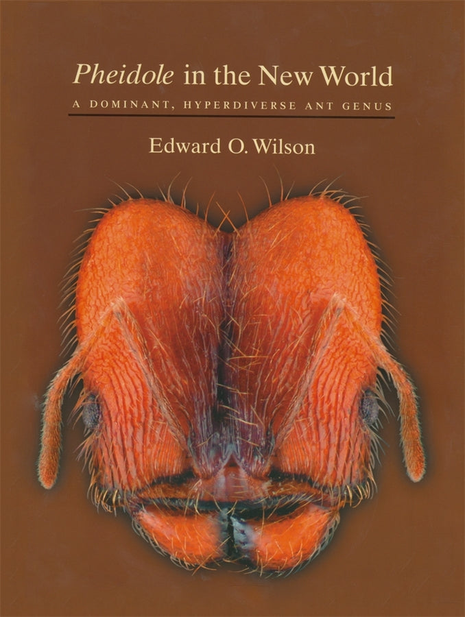 "Pheidole" in the New World