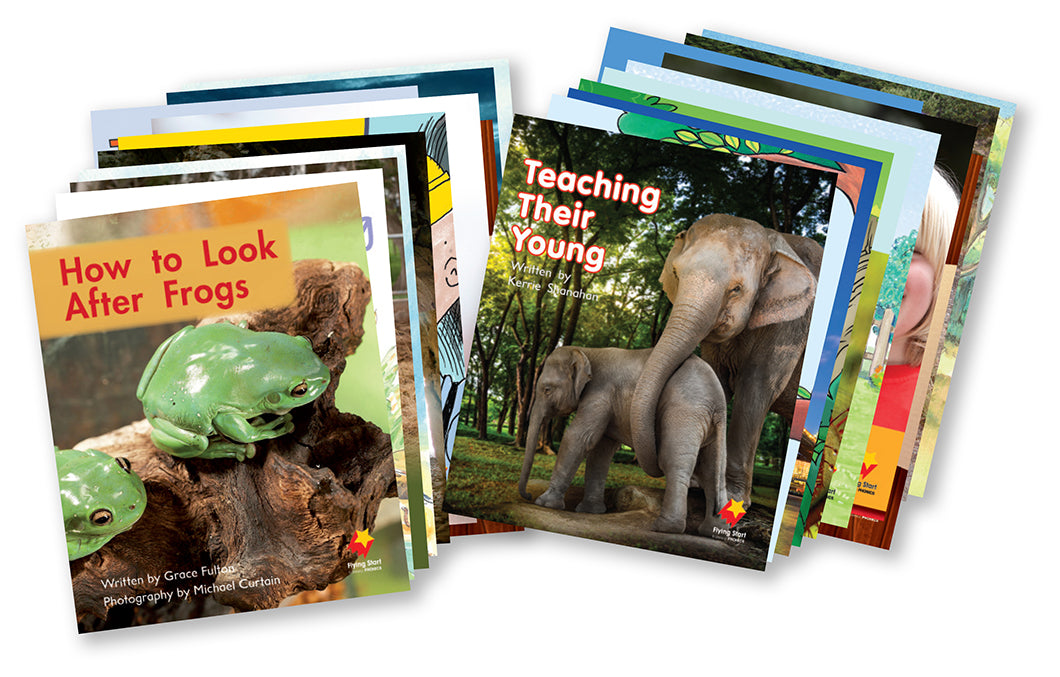 Flying Start to Literacy Phonics Module 3 Student Book Singles Pack