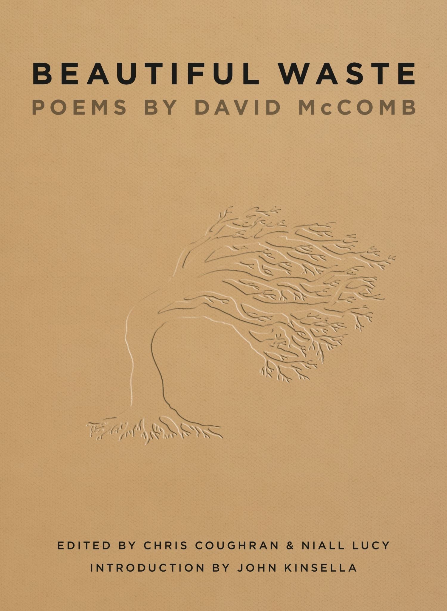 Beautiful Waste: Poems By David McComb