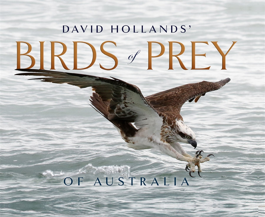 David Hollands’ Birds of Prey Of Australia