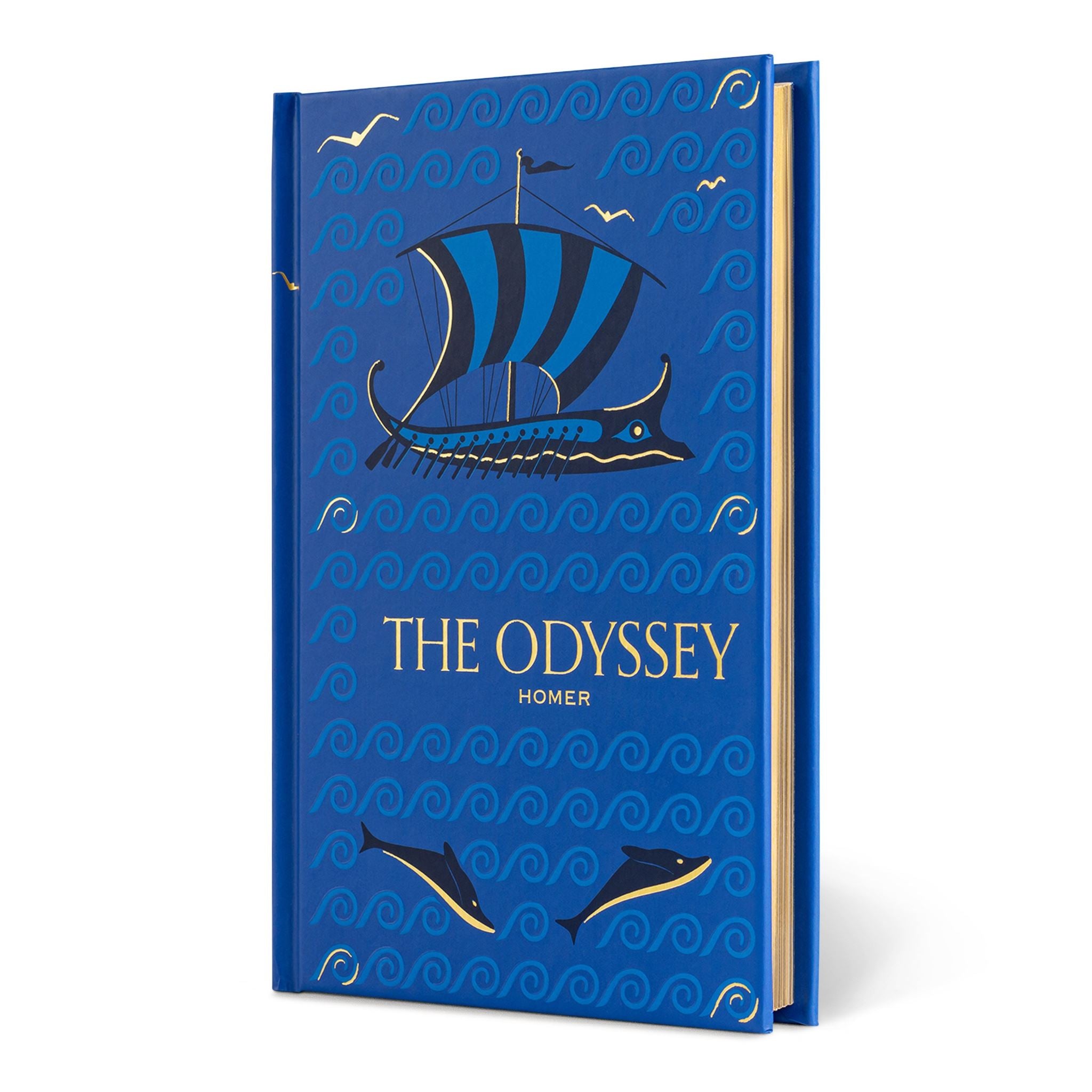 The Odyssey (9781454957652)