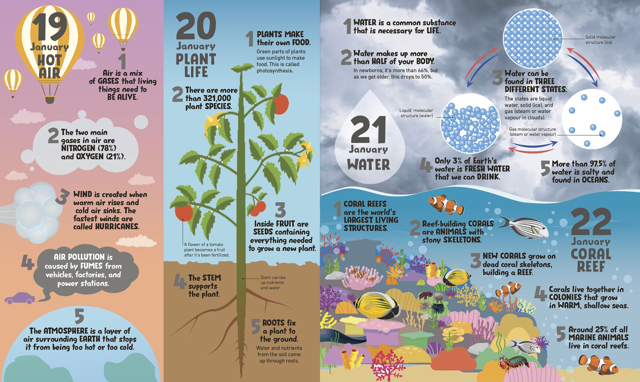 5 Facts a Day Science