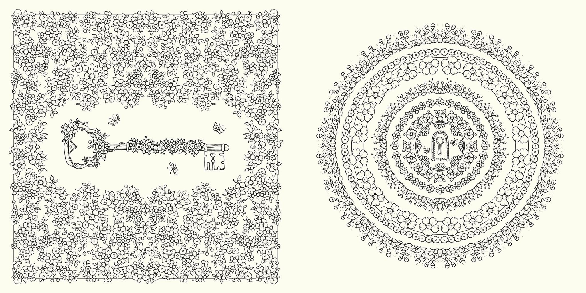 Rooms of Wonder