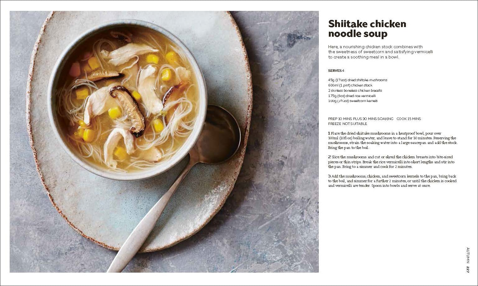 The Soup Book