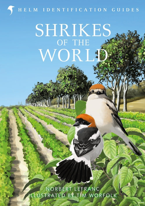 Shrikes of the World: THE BB/BTO BIRD BOOK OF THE YEAR