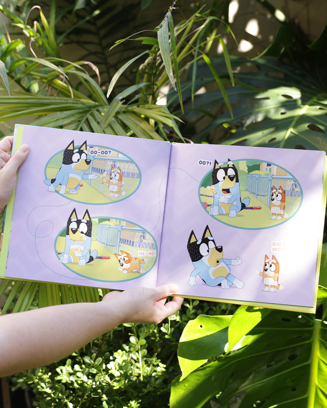 Bluey: Zoo