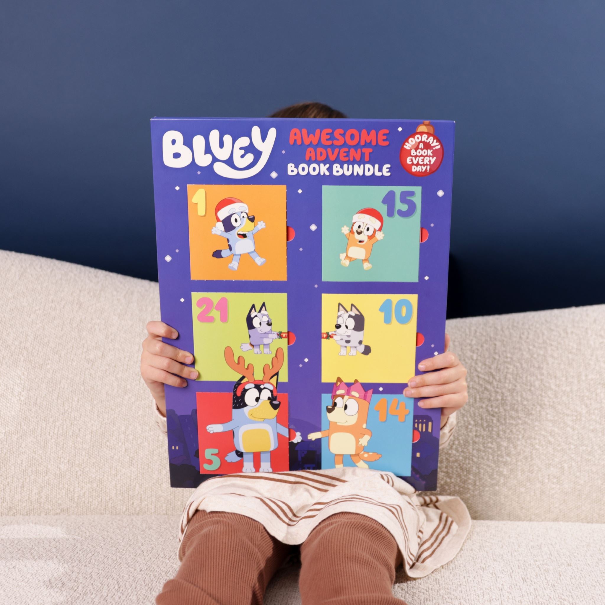 Bluey Advent Calendar Book Collection