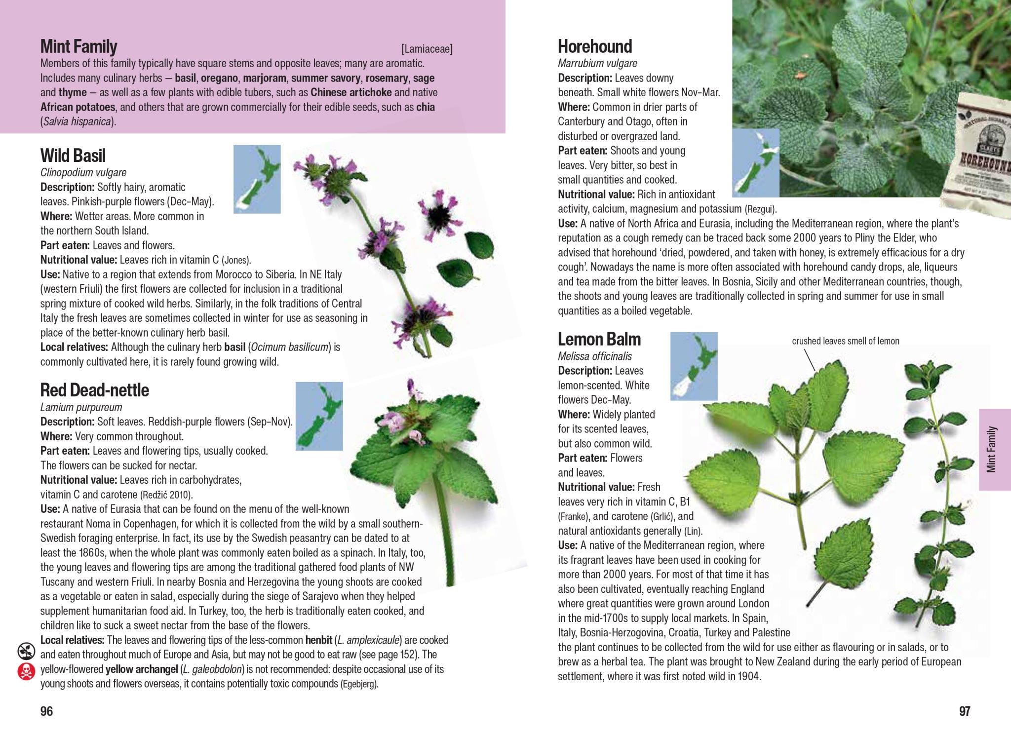 Edible Weeds Handbook