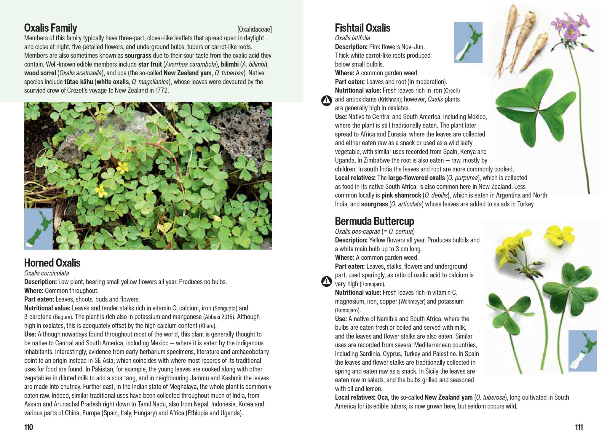 Edible Weeds Handbook